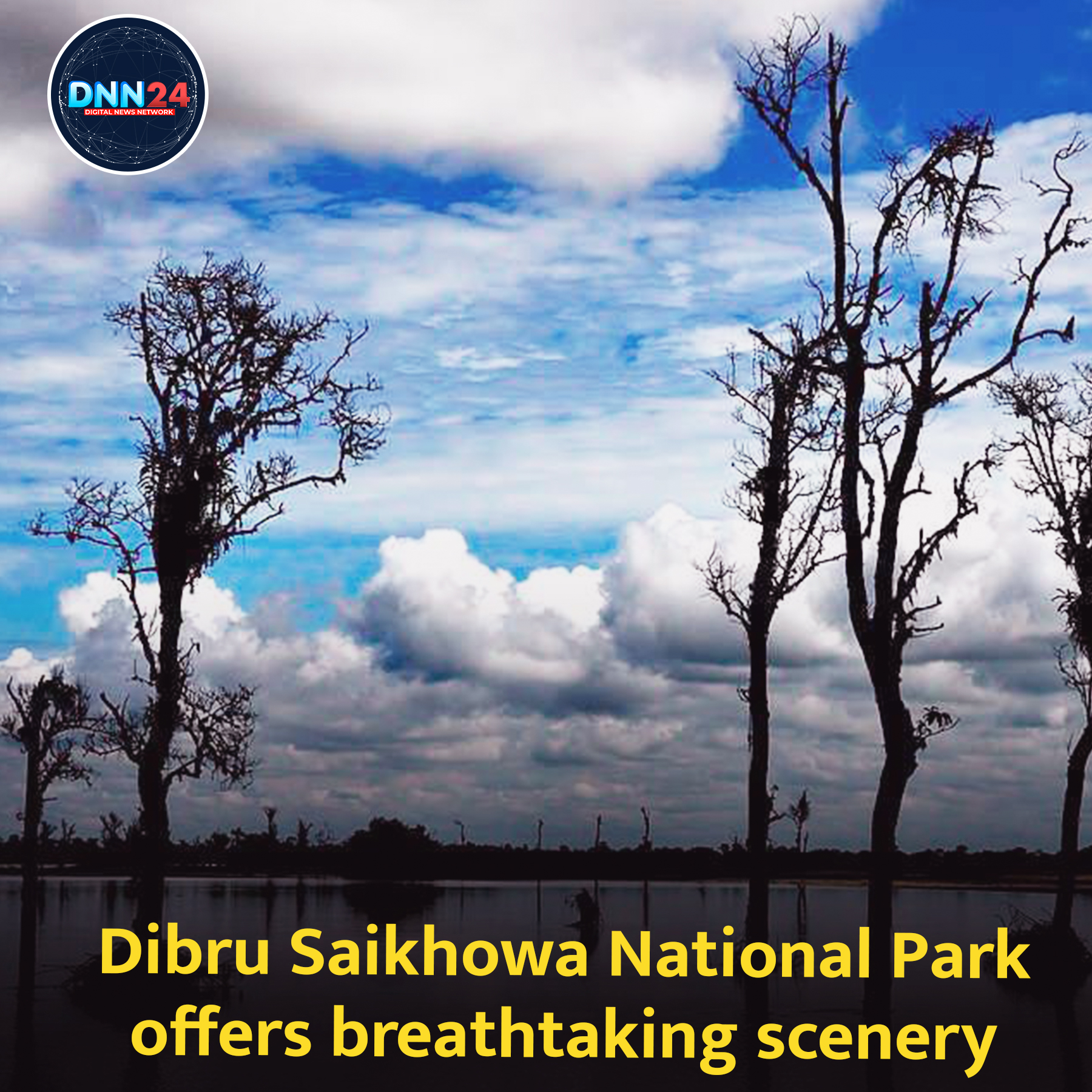 Dibru-Saikhowa National Park