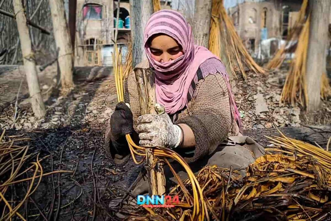 Parveena Bano Kashmir