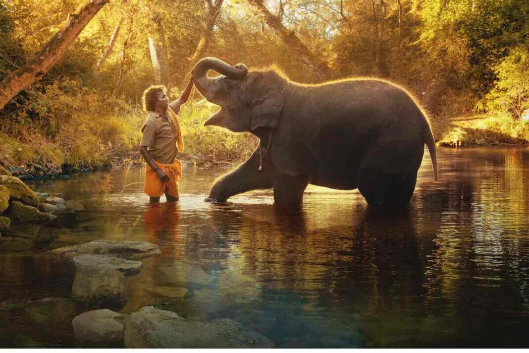 The Elephant Whisperers