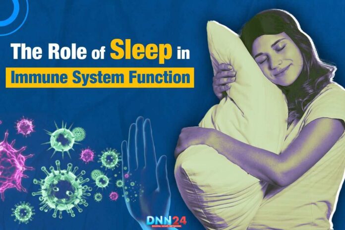 The Role of Sleep