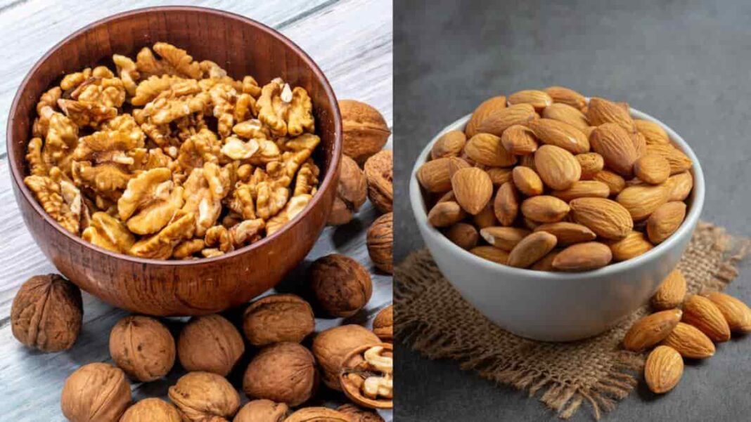 बादाम और अखरोट: दिमाग के लिए खास आहार