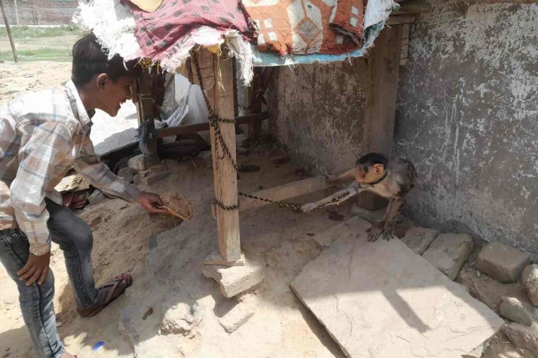 कलंदर समुदाय (The Kalandar community)