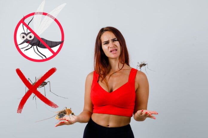 डेंगू (Dengue)