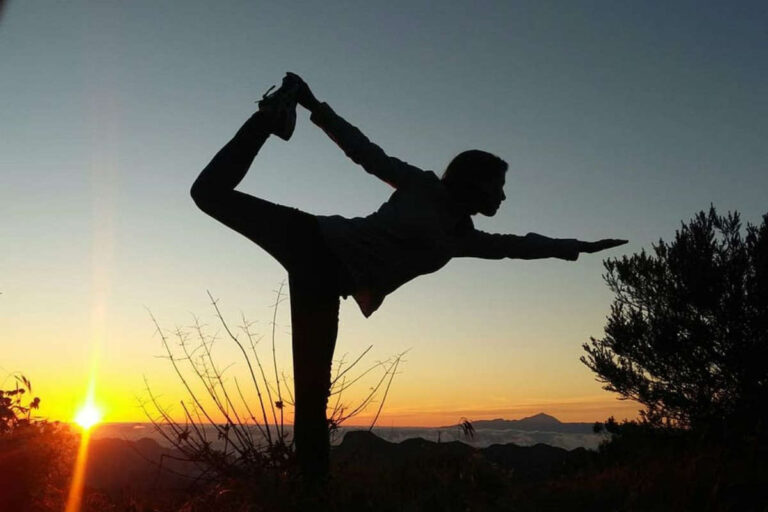 योग: संपूर्ण स्वास्थ्य के लिए आदर्शता- International Yoga Day