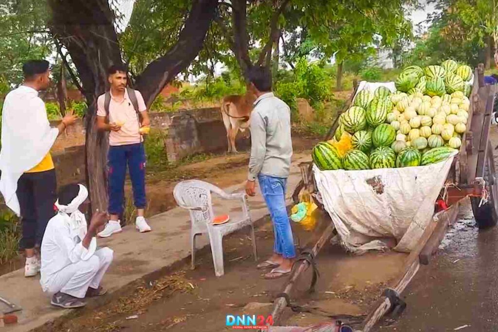 Baghpat Watermelons