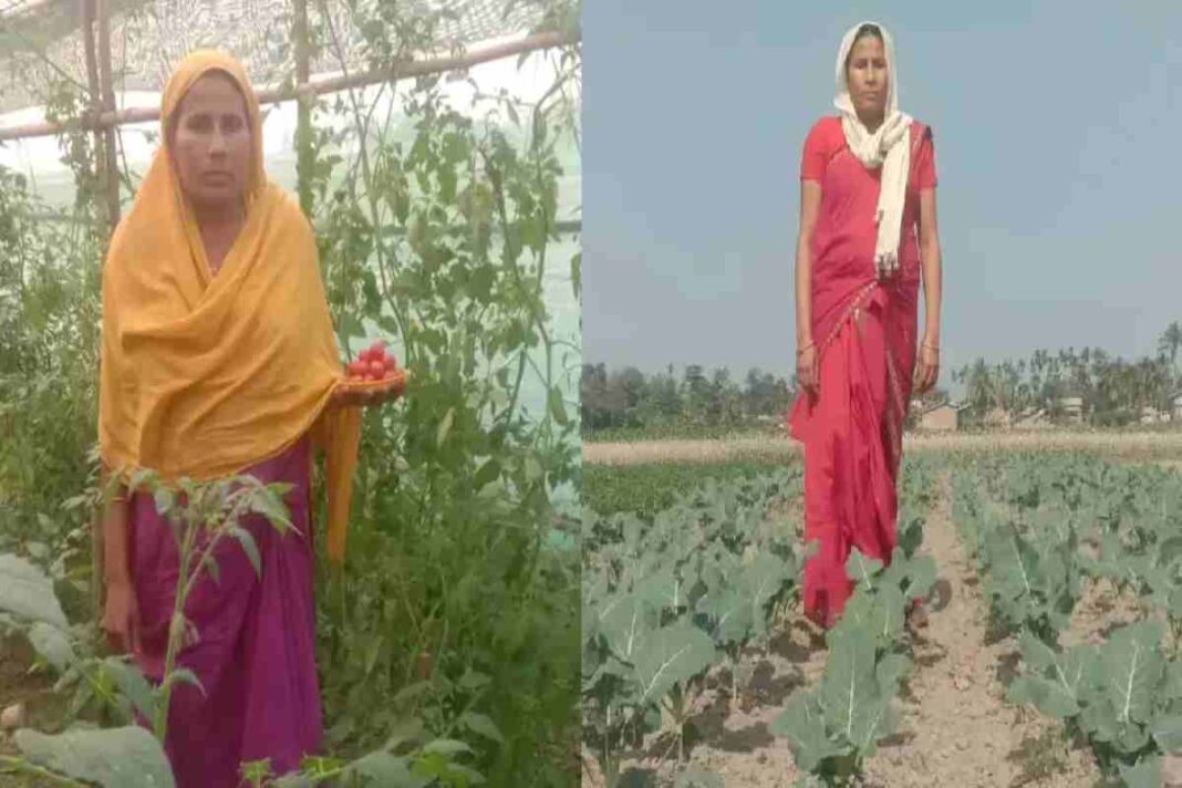 Empowering Women in Agriculture: Rashida Khatoon’s Organic Farming Success Story