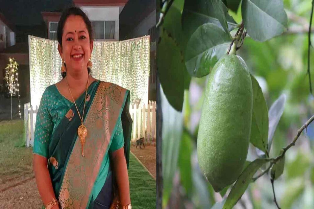Sofia Banu Warns of Possible Dilution of Assam’s Unique Lemon Genetic Traits