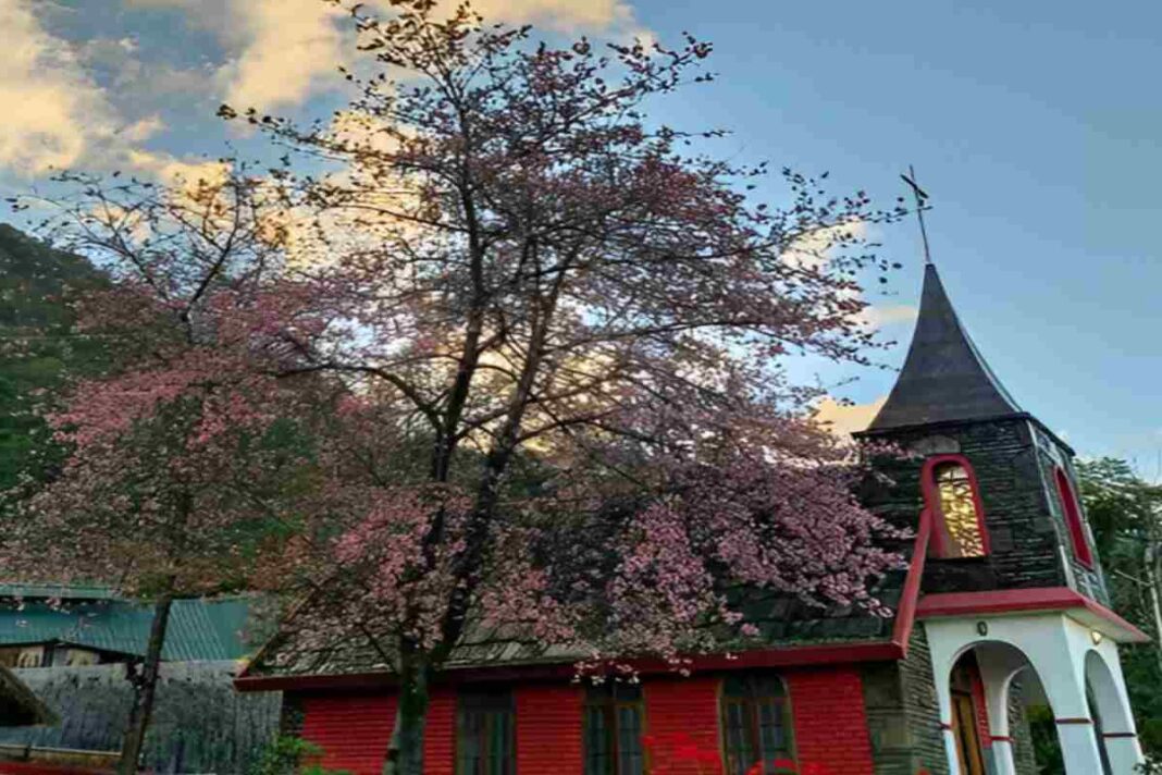 Christmas Expedition