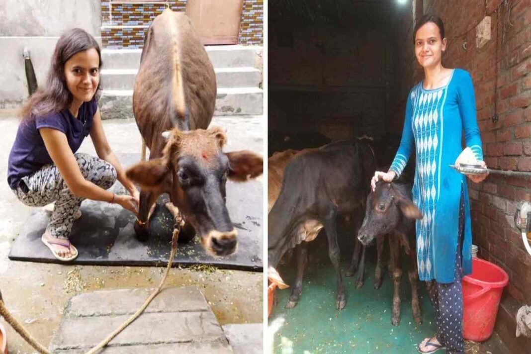 जैस्मिन मलिक