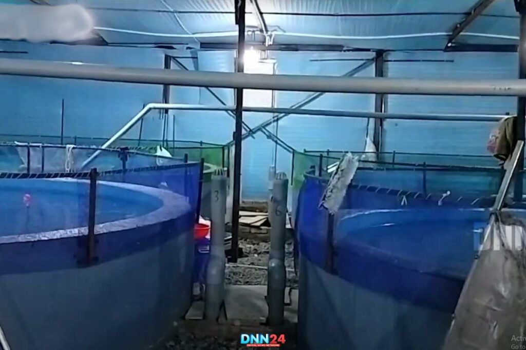 Fish Farming