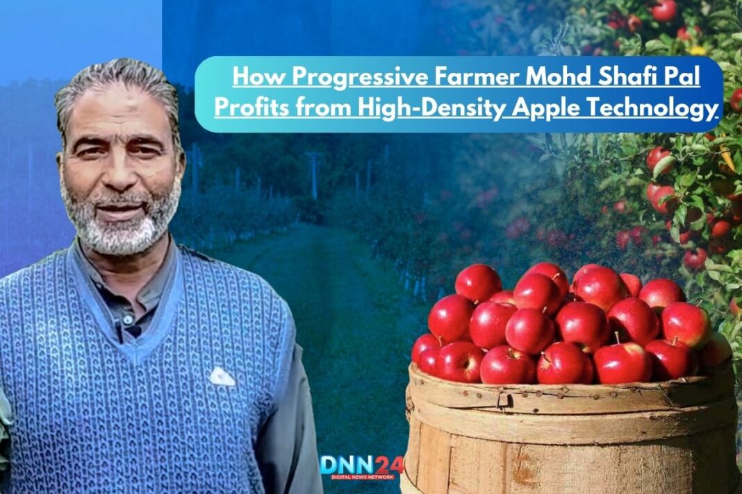 How Progressive Farmer Mohd Shafi Pal Profits from High-Density Apple Technology