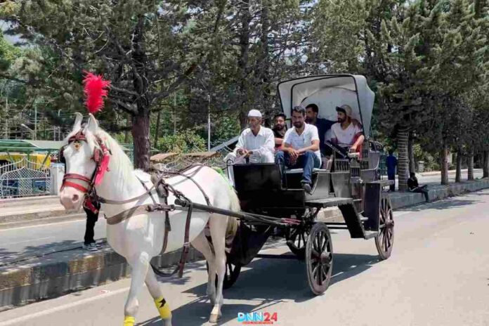 श्रीनगर में चार दोस्तों ने शुरू किया Royal Horse Cart 