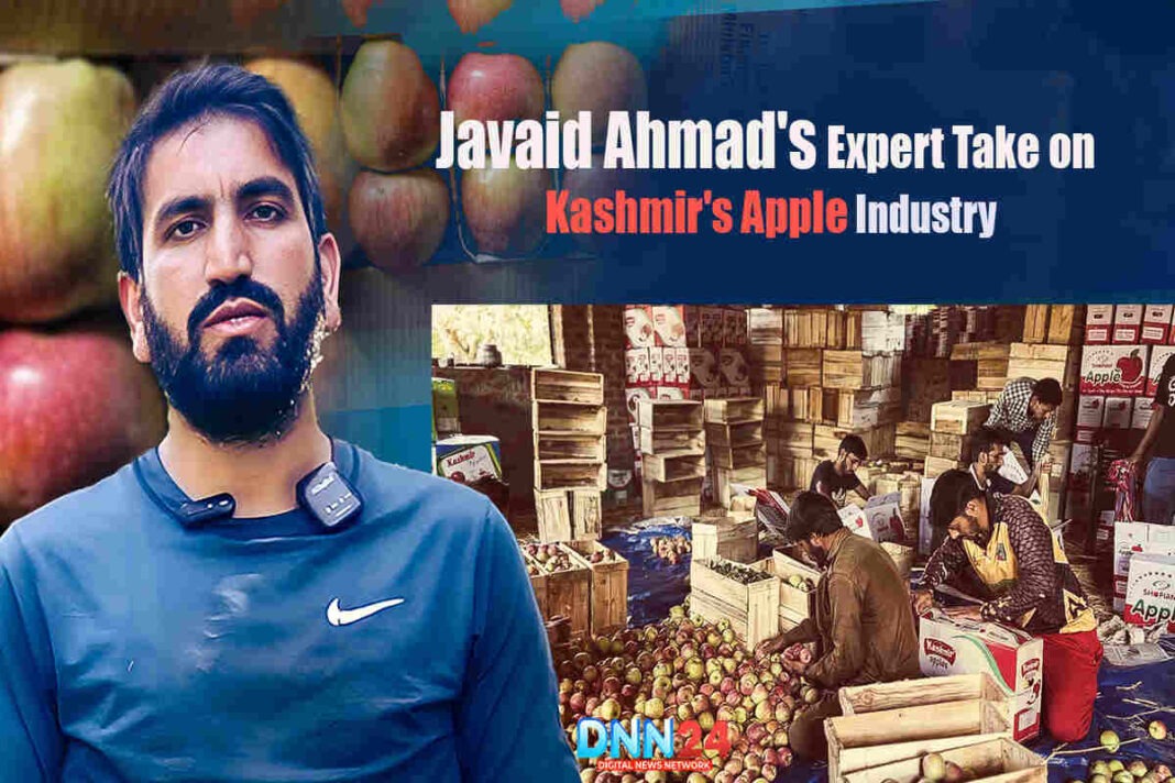 Javaid Ahmad's Expert Take on Kashmir's Apple Industry