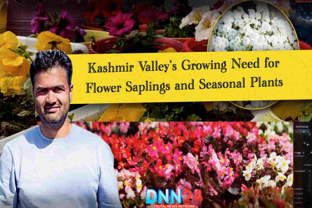 Kashmir Valley’s Growing Need for Flower Saplings and Seasonal Plants