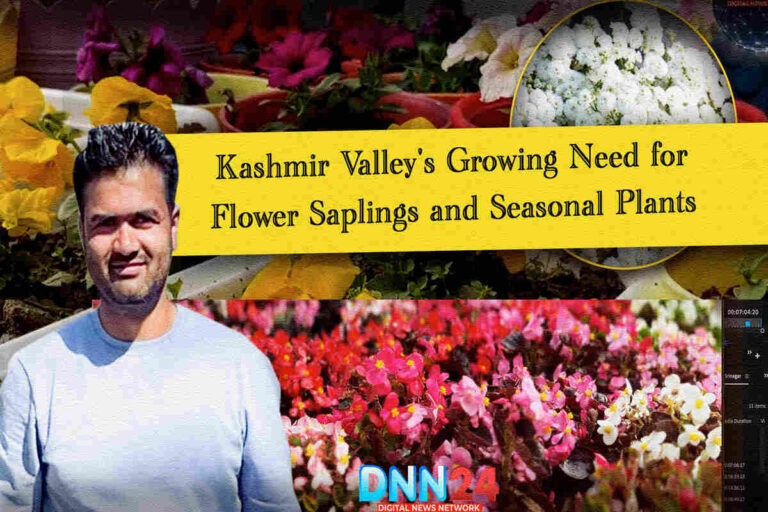 Kashmir Valley's Growing Need for Flower Saplings and Seasonal Plants