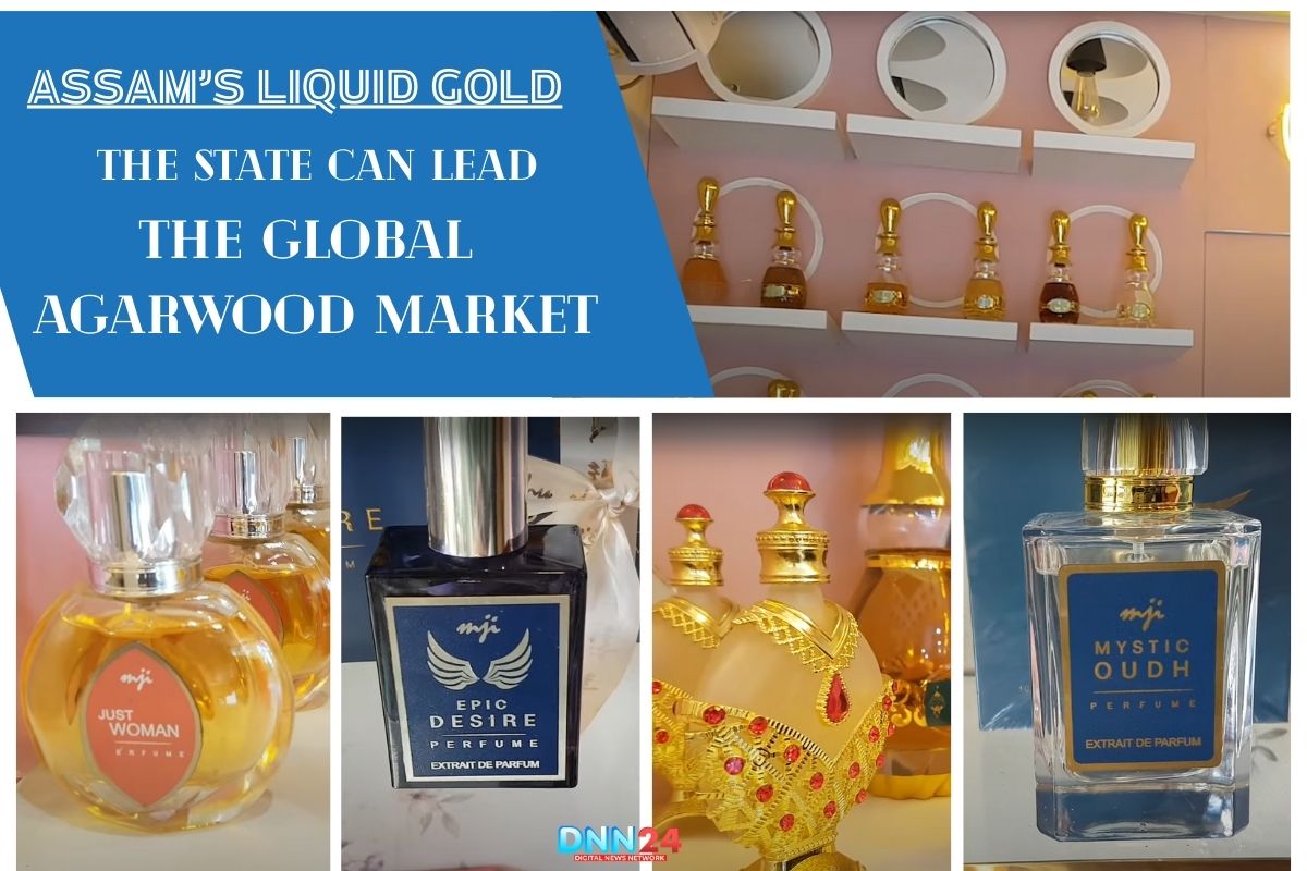 Agarwood Market