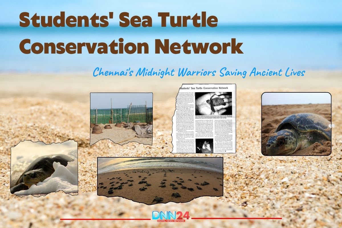Students' Sea Turtle Conservation Network: Chennai's Midnight Warriors Saving Ancient Lives Students' Sea Turtle Conservation Network