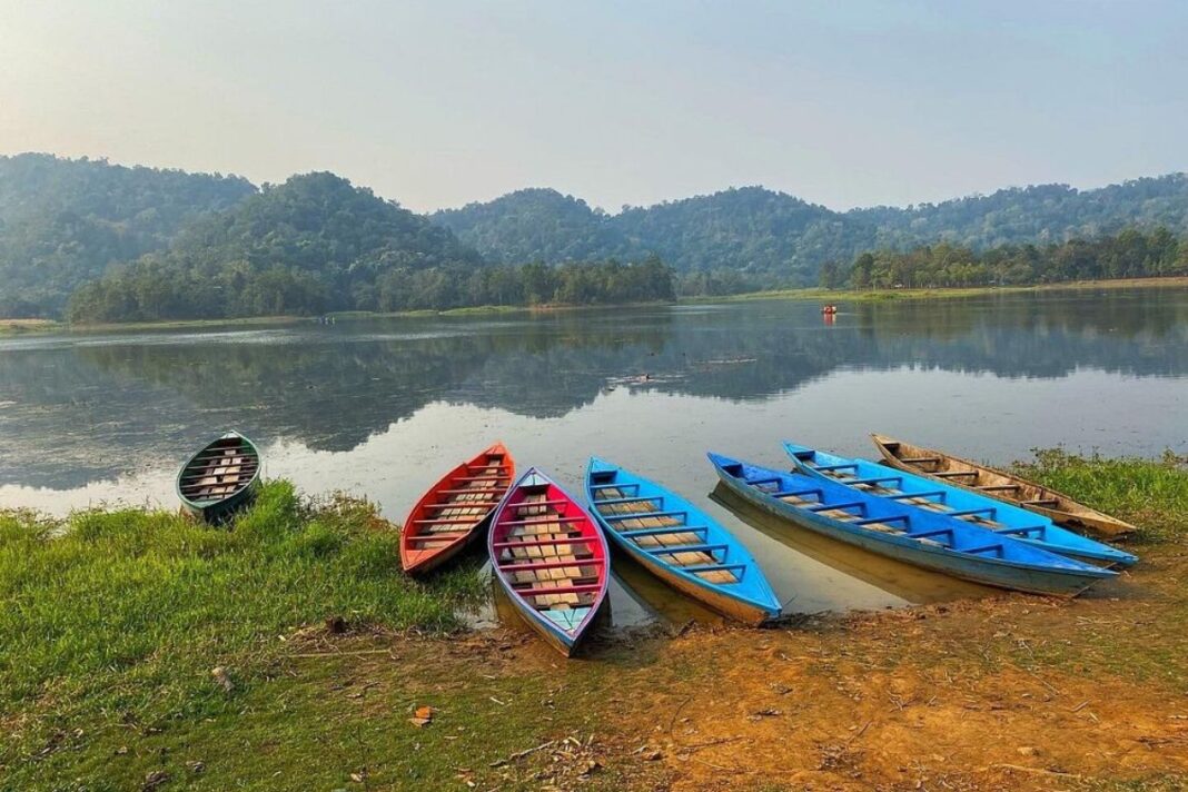 Traditional Wooden Canoes