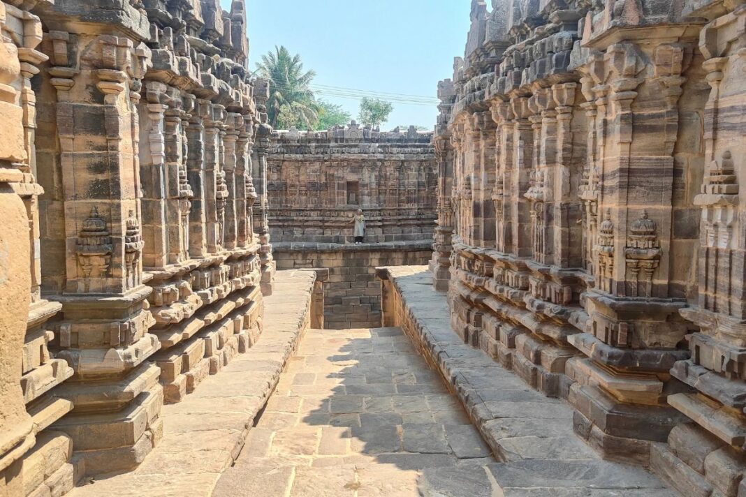 Stepwell's Rare Naga Carvings